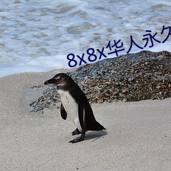 8x8x华(huá)人永久(jiǔ)360
