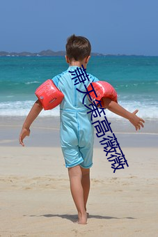 蕭天策高薇薇