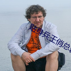 貼身兵王俏總裁夏天