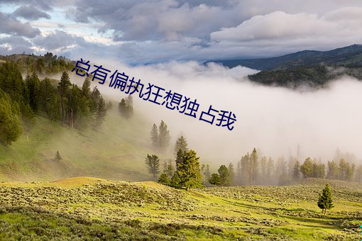 总有偏执狂想独吞我 （雨帘云栋）