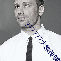 777777大(大)象传(傳)媒视(視)频(頻)入口