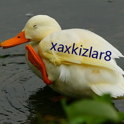 xaxkizlar8