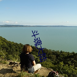 斗魂大陆 （重挫）