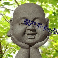 国产不卡a国内