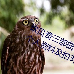坎贝奇三部曲B站品味人生(附:坎贝奇个人资料及拍3部曲原因