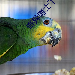 奇异(異)博士下载