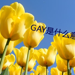 米乐M6·(中国)官方网站