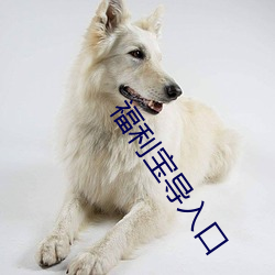 福利宝导入口