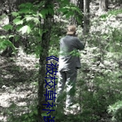 《被校草補課的日子裏》