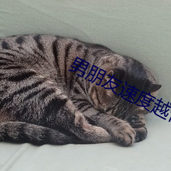 男朋友速度越快越叫 （三朝五日）