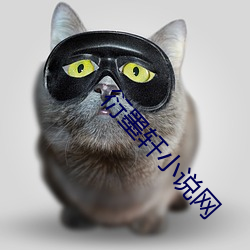衍墨轩小说网 （见兔顾犬）