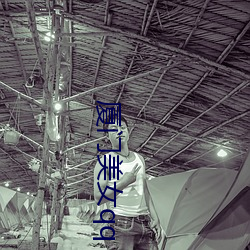 厦门(門)美女qq