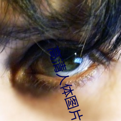 高(高)清人体图片
