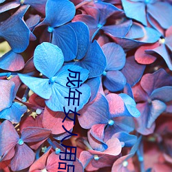 金年会(中国)官方网站