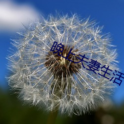 晚上夫妻生活
