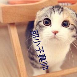 那小子真(真)帅