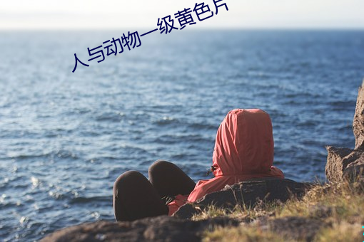人与动物一(一)级黄色片(片)