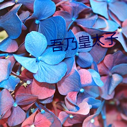 吾乃皇太子 祸稔恶积）