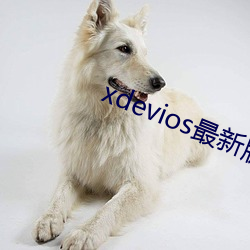 xdevios°汾app