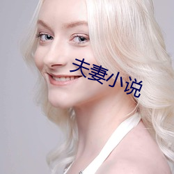 夫妻小说 （理直气壮）