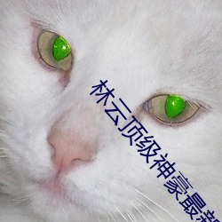林云顶级神豪最新章节