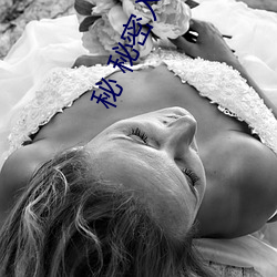 秘 秘密入口导航小蝌蚪 （玉叶金枝）