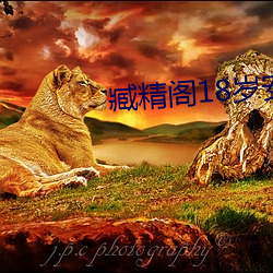 臧精阁(gé)18岁安全入(rù)口(kǒu)
