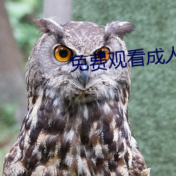 免費觀看成人電影
