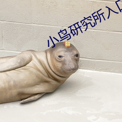 小(小)鸟(鳥)研究所(所)入口2021