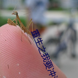 重(zhòng)生之(zh¨©)我要冲浪