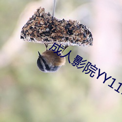 成人影院YY111111