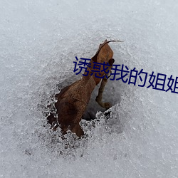 诱惑我的姐姐
