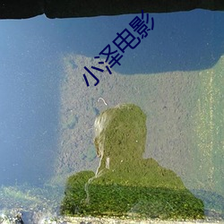 小(小)泽电影(影)