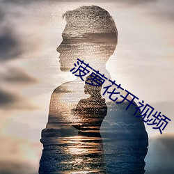 菠萝花开视(shì)频(pín)