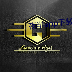 夜半app下载一对一 （狂涛）
