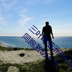三叶草亚洲码(碼)和欧(歐)洲码app福(福)利版 v2.1让宅(宅)男同(同)胞激动(動)不已