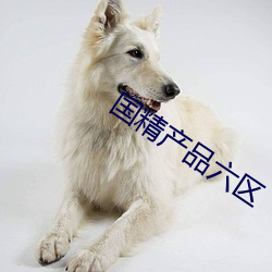 国(gu車)精(jīng)产品六区(qū)