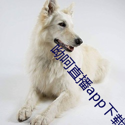 呦呵直播app下载 （饥冻交切）