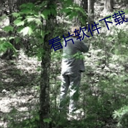 看片软(軟)件下载