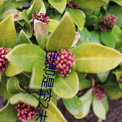 九游会登录j9入口 - 中国官方网站 | 真人游戏第一品牌