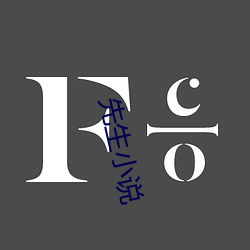 先(先)生小说