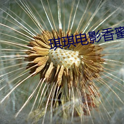 琪琪影戏香蜜沉沉烬如(rú)霜