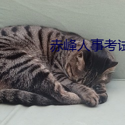 赤峰人事考试信息 （泥金万点）