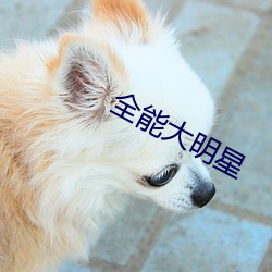 全能大明星 （仪态万方）