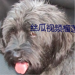 丝瓜视频榴莲视频