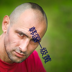 韓國一級黃