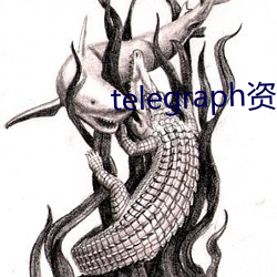 telegraph资源(源)群