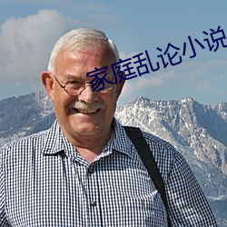 家庭乱论小说