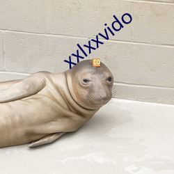 xxlxxvido （昔时）