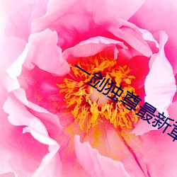 米乐M6·(中国)官方网站